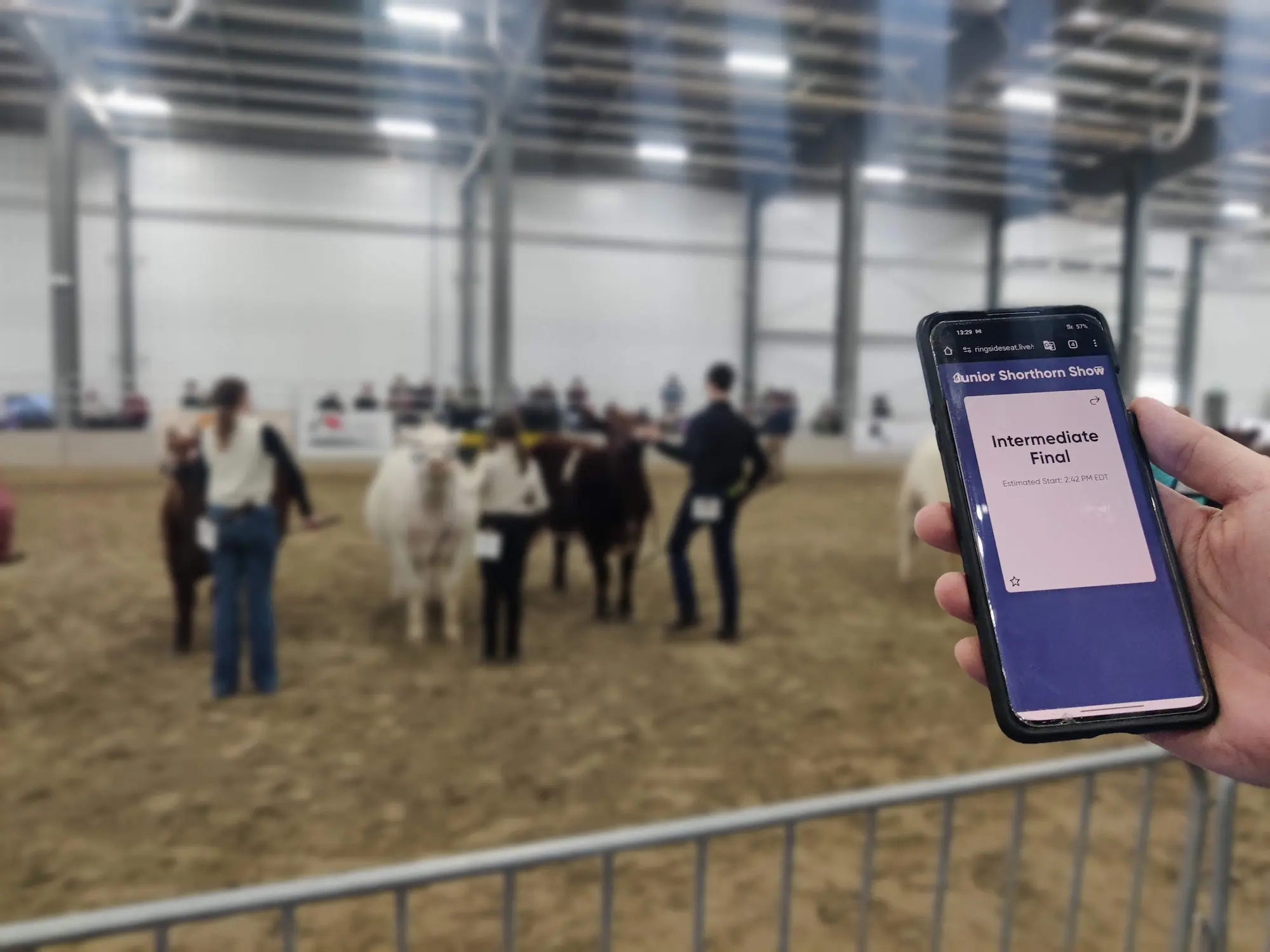 App user using the Ringside Seat app at a cattle show